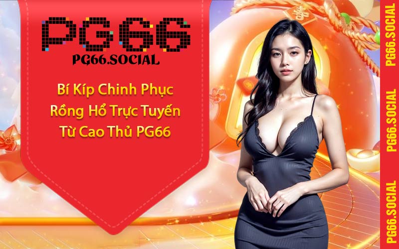 Bí Kíp Chinh Phục Rồng Hổ Trực Tuyến Từ Cao Thủ PG66