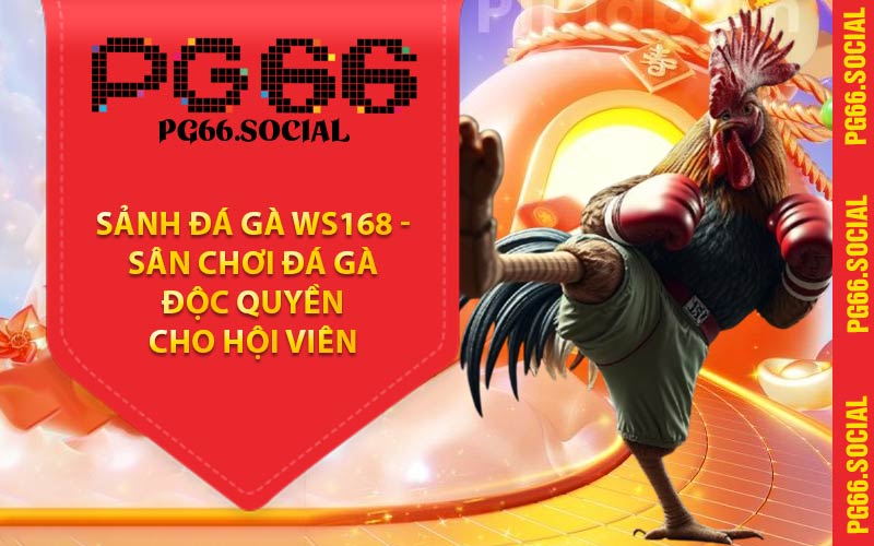 Sảnh Đá Gà WS168 - Sân Chơi Đá Gà Độc Quyền Cho Hội Viên